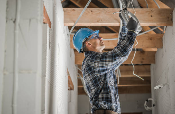 Best Electrician for Home Renovation  in Winsted, MN